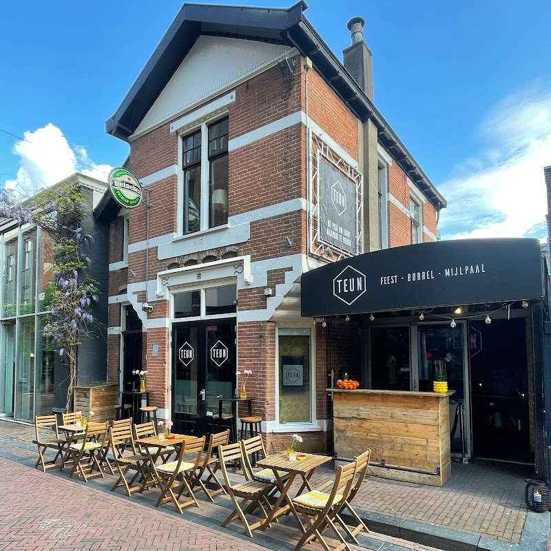 Teun - foto 1