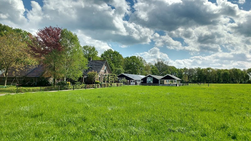 Bij Aaltje aan de Linie - foto 1