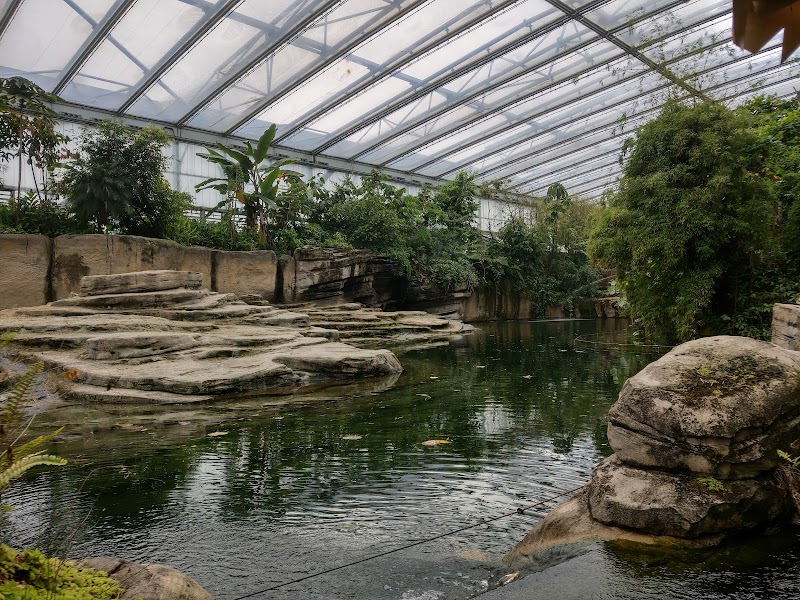 Vlindertempel - foto 1