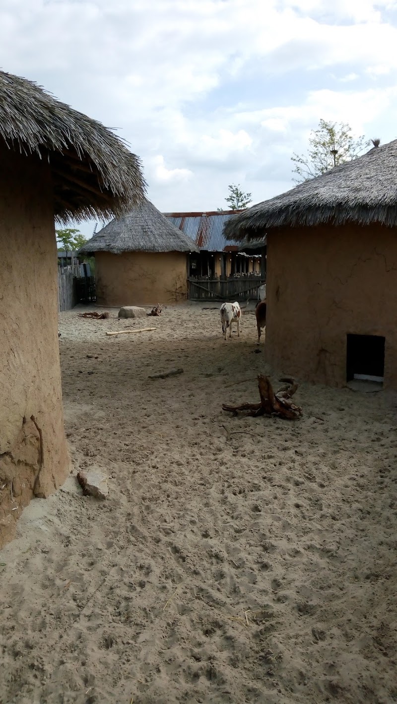 Serenga - foto 1